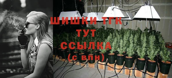 наркотики Белокуриха