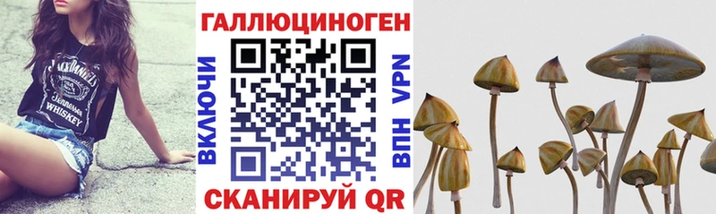 Галлюциногенные грибы прущие грибы  купить наркотик  Городовиковск 